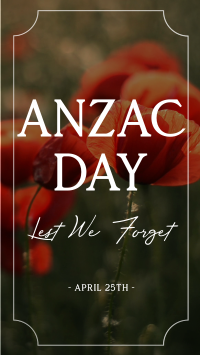 Poppy Flower Anzac Day YouTube short Image Preview