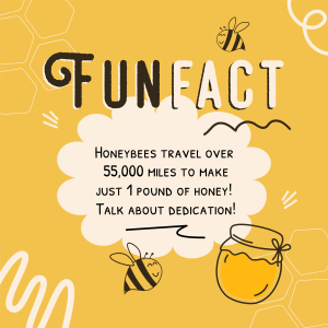 Honey Bees Fact Instagram post Image Preview