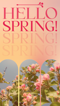 Retro Welcome Spring TikTok video Image Preview