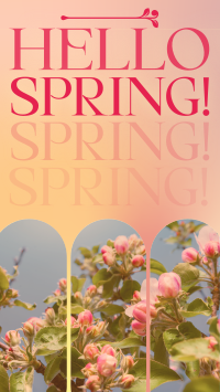 Retro Welcome Spring Video Image Preview