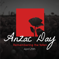 Anzac Remembrance Instagram post Image Preview