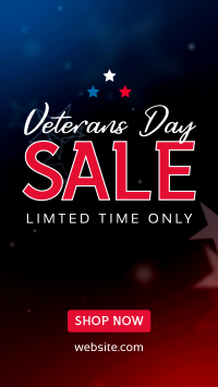 Veterans Medallion Sale Instagram Story Design