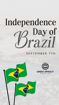 Minimalist Independence Day of Brazil TikTok Video Image Preview