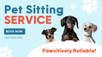 Pet Sitting Services Modern Animation Preview