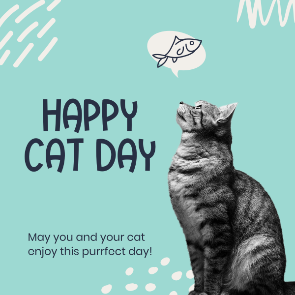 Simple Cat Day Instagram Post Design Image Preview