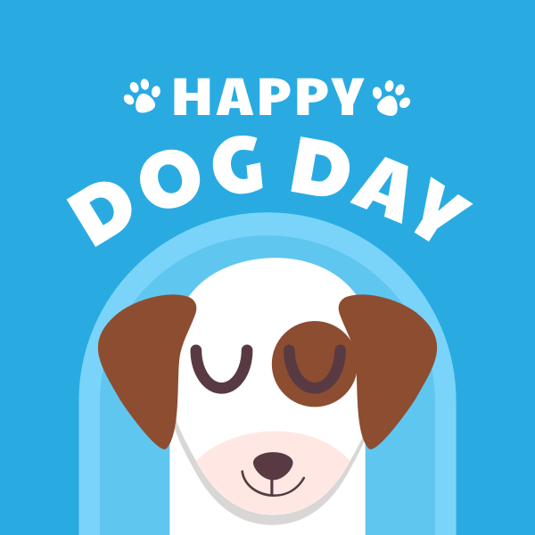 Dog Day Celebration Instagram Post Design Image Preview