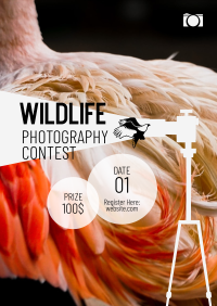 Wildlife Photography Contest Poster Design