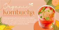 Probiotic Kombucha Facebook ad Image Preview