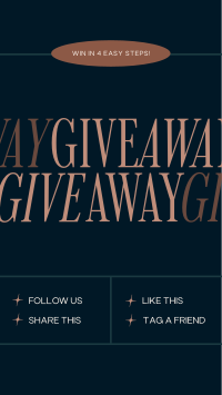 Elegant Minimal Giveaway Facebook Story Image Preview