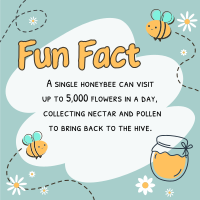 Bee Day Fun Fact Instagram post Image Preview