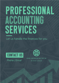 Accounting Professionals Poster Image Preview