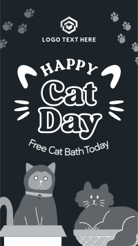 Happy Cat Life Instagram Reel Design