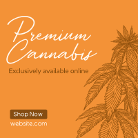 Premium Marijuana Linkedin Post Image Preview