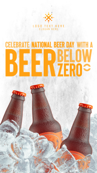 Below Zero Beer Video Image Preview