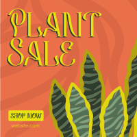 Quirky Plant Sale Instagram post Image Preview