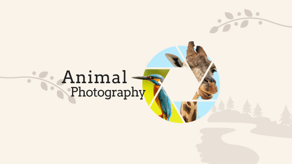 Safari Animals Photography YouTube Banner Design Image Preview