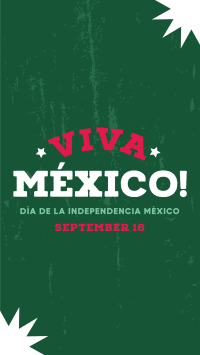 Viva Mexico Flag TikTok Video Design