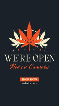 Healthy Cannabis Instagram Reel Design