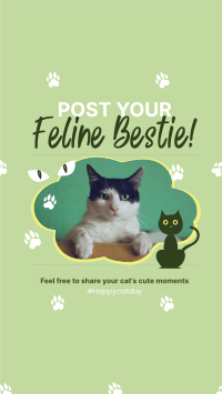 Cat Appreciation Post Instagram reel Image Preview