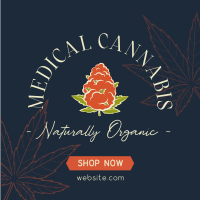 Cannabis Therapy Instagram Post Image Preview