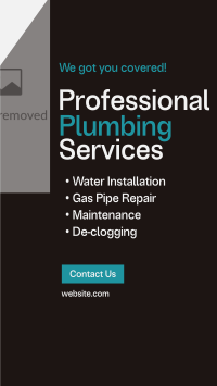 Professional Plumbing Service TikTok Video Design