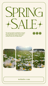 Spring Time Sale Instagram reel Image Preview