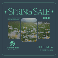 Spring Time Sale Instagram post Image Preview