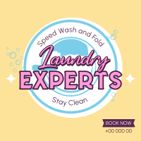 Laundry Experts Instagram post Image Preview