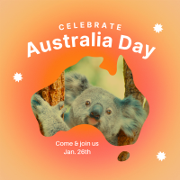 Australian Koala Instagram post Image Preview