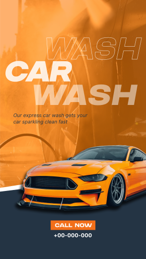 Professional Car Cleaning Instagram story Image Preview