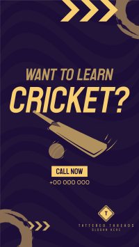 Time to Learn Cricket TikTok Video Image Preview