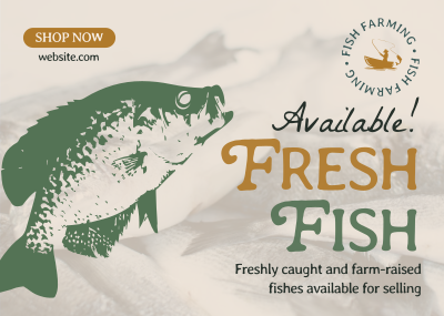 Fresh Fishes Available Postcard Image Preview