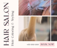 Hair Styling Salon Facebook post Image Preview