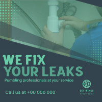 Best Plumbing Professionals Linkedin Post Image Preview