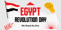 Egyptian Revolution Twitter Post Image Preview