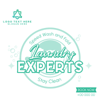 Laundry Experts Instagram post Image Preview