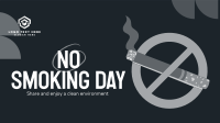 Stop Smoking Now Video Preview