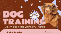 Quirky Dog Training Animation Preview