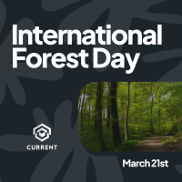 Forest Day Greeting Instagram Post Image Preview