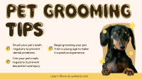 Pet Care Tips Animation Preview