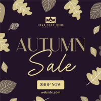 Deep  Autumn Sale Linkedin Post Image Preview