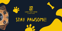 Stay Pawsome Twitter post Image Preview