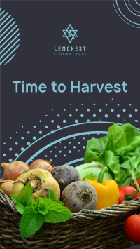 Harvest Vegetables Facebook story Image Preview