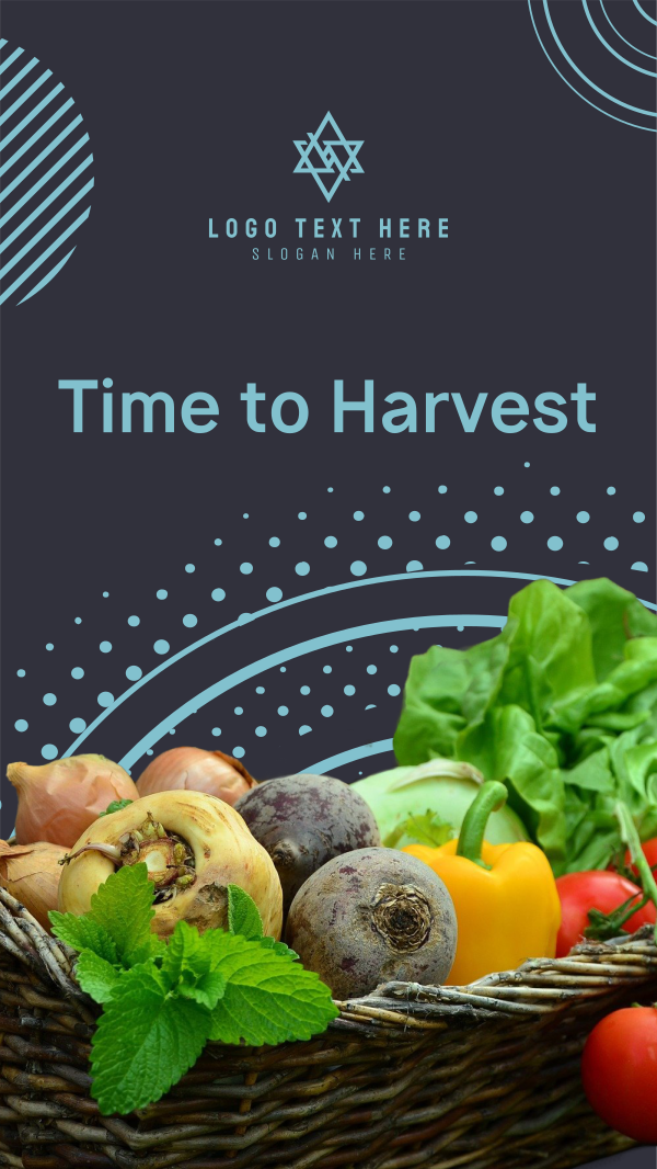 Harvest Vegetables Facebook Story Design Image Preview