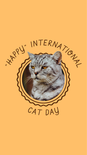 "Happy" Int'l Cat Day Facebook story