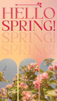Retro Welcome Spring Facebook story Image Preview