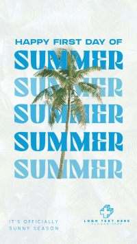 Summer Palm Tree Instagram reel Image Preview