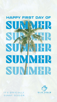 Summer Palm Tree Instagram Reel Image Preview