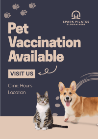 Pet Vaccination Flyer Image Preview