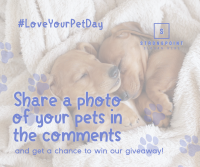 Love Your Pet Day Giveaway Facebook Post Design
